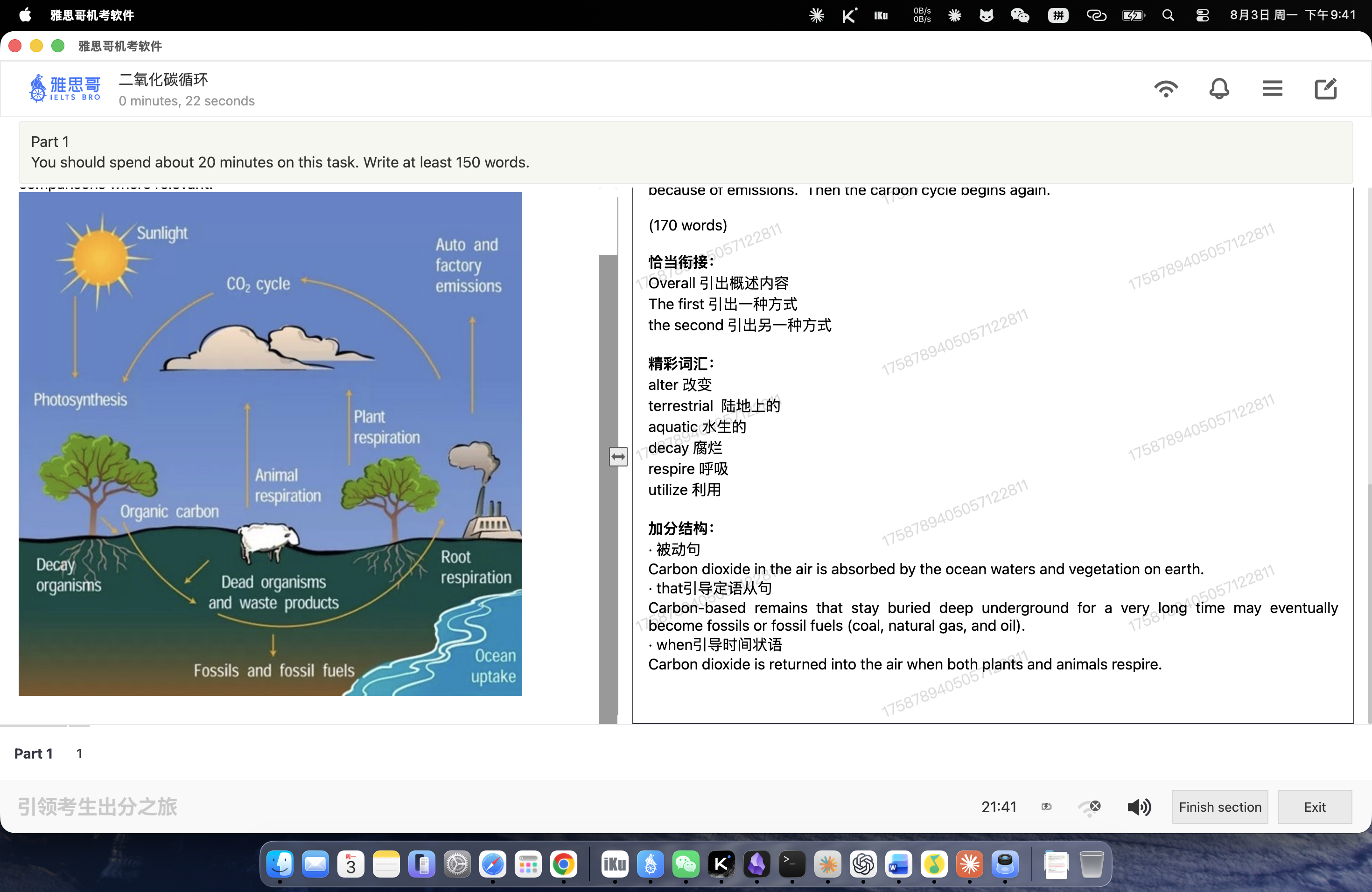 part1作文/流程图/图片/二氧化碳循环-2.png